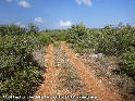 Collado de Matapoll - ES-V-0807