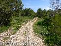 Agrandir l'image Coll Blanc - ES-B-0385