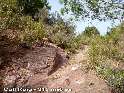 Agrandir l'image Coll Roig - ES-T-0310c (315 m)