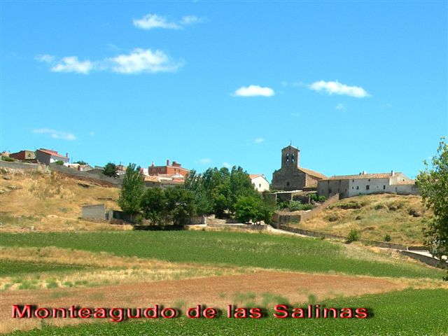 Agrandir l'image Monteagudo de las Salinas