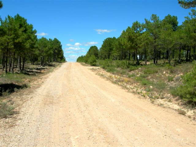 Agrandir l'image En direction du Collado de Cuenca