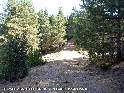 Coll de Guilera - ES-L-1653 (1649 mtres)