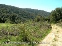 Agrandir l'image Col das Pichadous - FR-11-0563