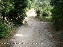 Agrandir l'image Coll de Mercader - ES-B-0240