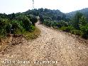 Agrandir l'image Coll d'Olleta - ES-B-0230f