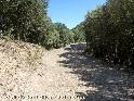 Agrandir l'image Coll de Sant Elies - ES-B-0931