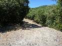 Agrandir l'image Coll de Sant Elies - ES-B-0931