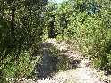 Agrandir l'image Coll de Tascó - ES-B-1028