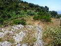 Agrandir l'image Coll de Pi Novell - ES-B-1191