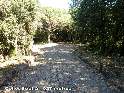 Agrandir l'image Collet Sobirà - ES-B-0927a