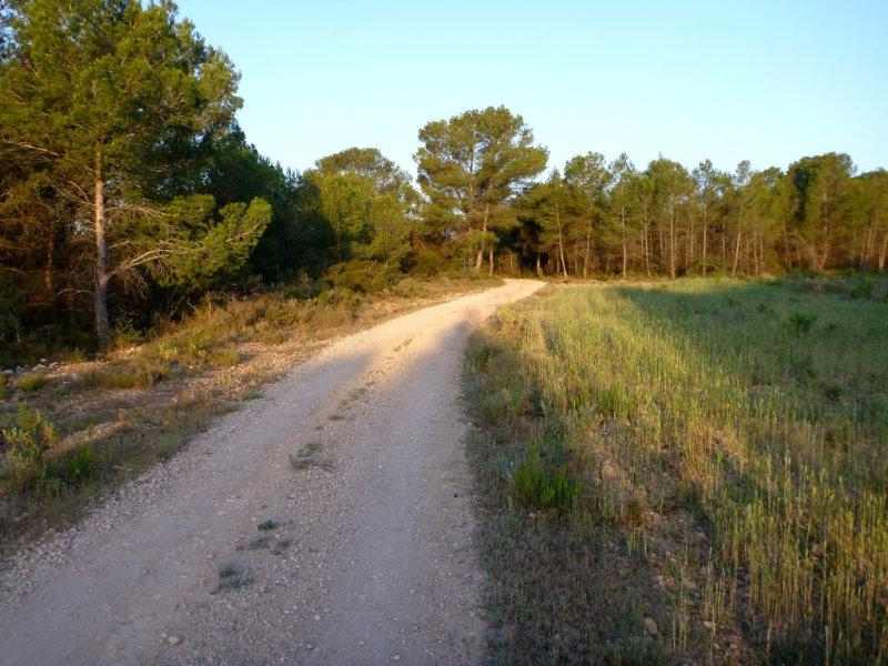 Agrandir l'image En direction du Coll del Cau de la Rabosa