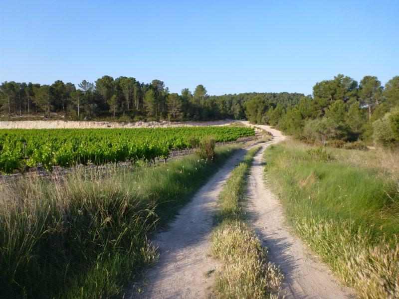 Agrandir l'image En direction du Coll de Comes