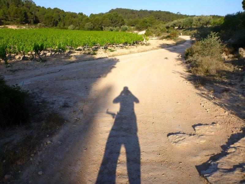 Agrandir l'image En direction du Coll de Comes