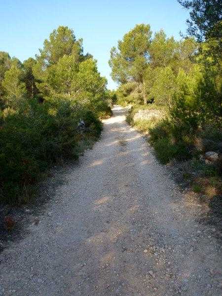 Agrandir l'image En direction du Coll de Comes