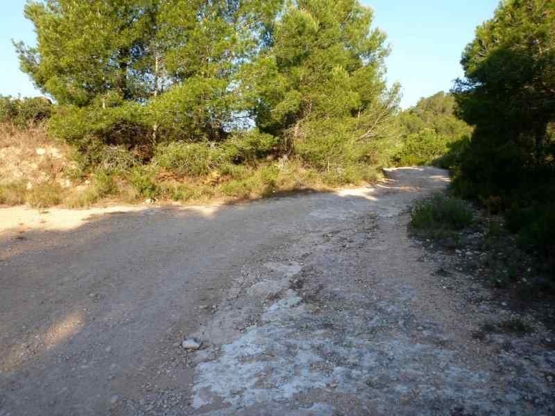 Agrandir l'image En direction du Coll de Comes