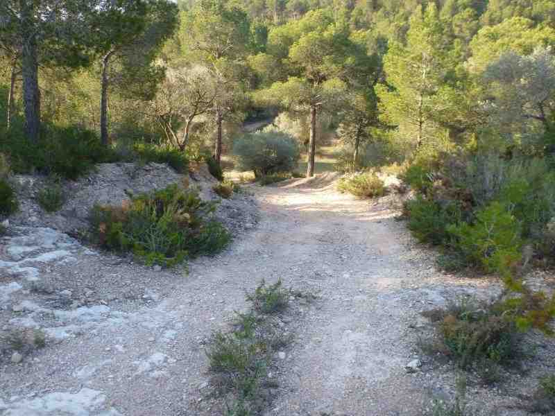Agrandir l'image En direction du Coll de Comes