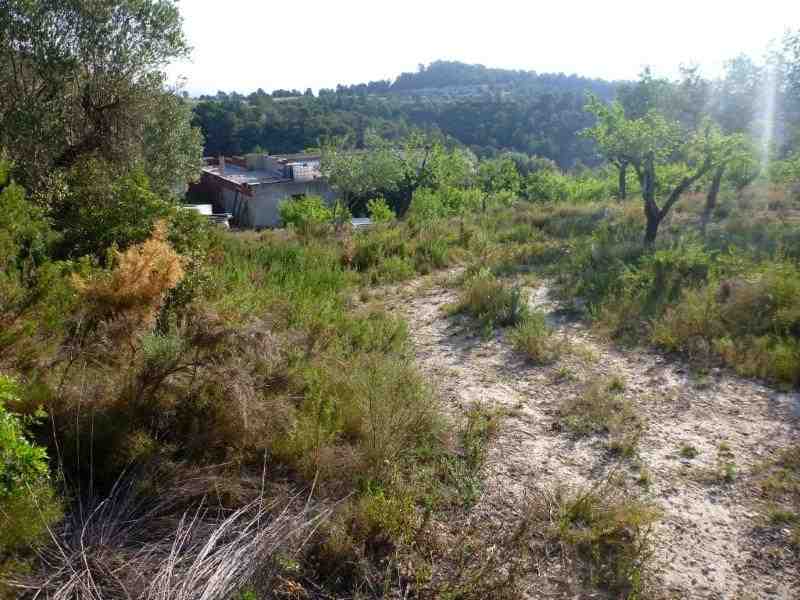 Agrandir l'image En direction du Coll de Comes