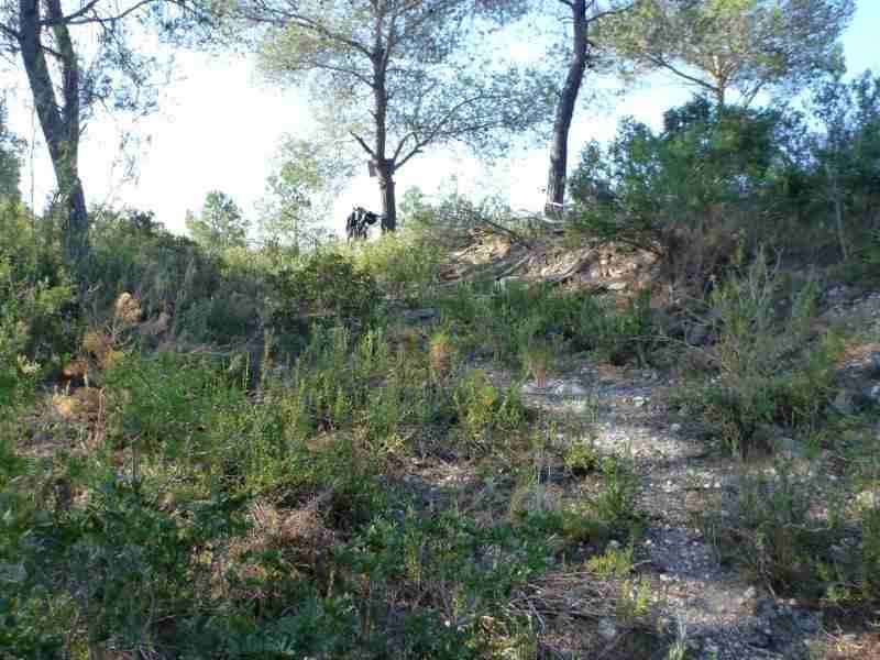 Agrandir l'image En direction du Coll de Comes