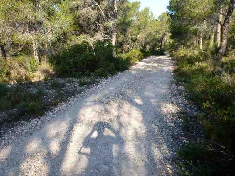 Agrandir l'image En direction du Coll de Comes