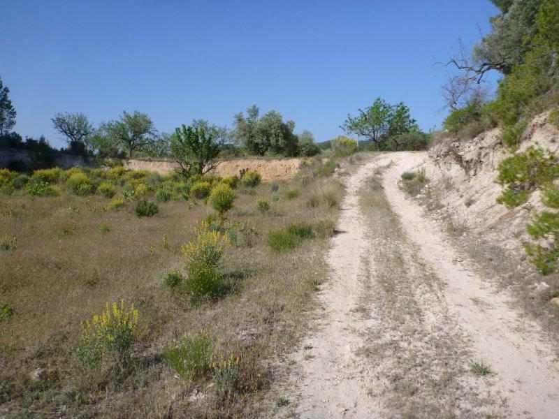 Agrandir l'image Coll de Peçols