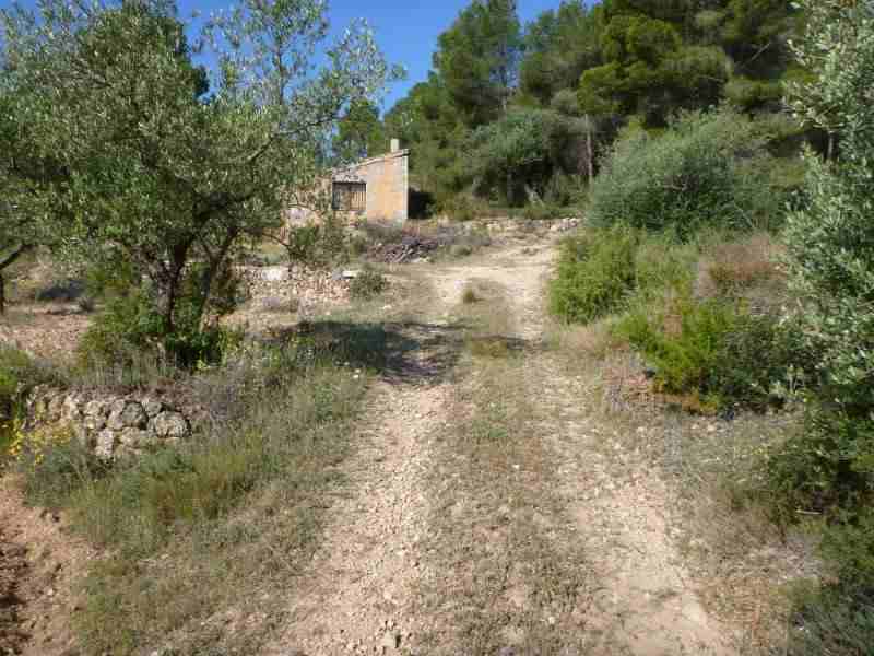Agrandir l'image En direction du Coll del Sabó