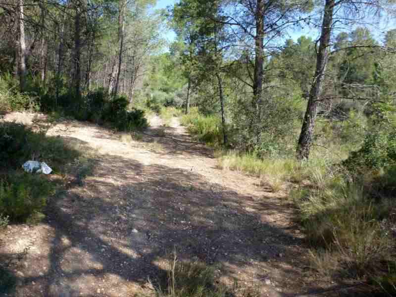 Agrandir l'image En direction du Coll del Sabó