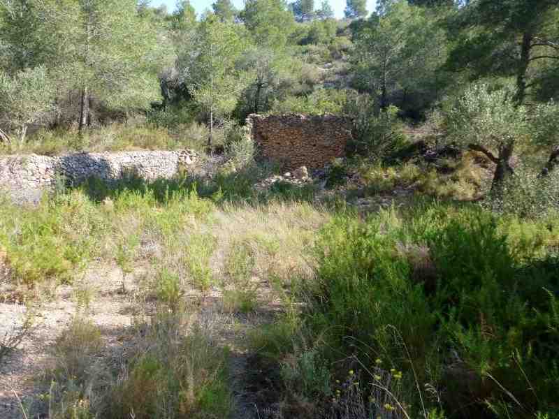 Agrandir l'image En direction du Coll del Sabó