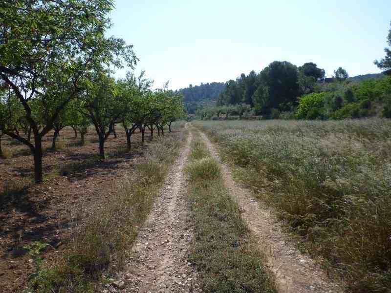 Agrandir l'image Retour à Mora d'Ebre