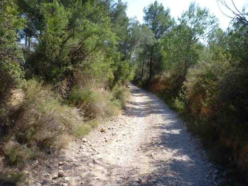 Agrandir l'image Retour à Mora d'Ebre