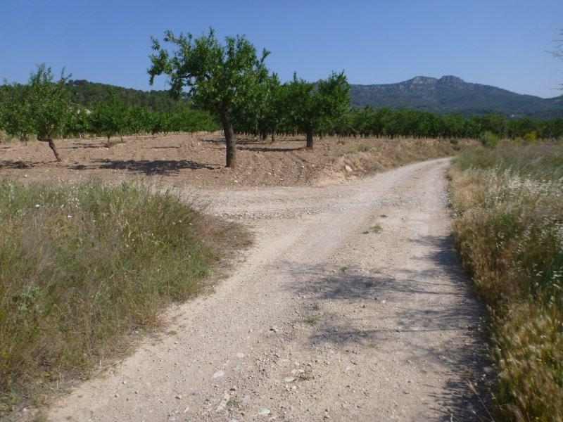 Agrandir l'image Retour à Mora d'Ebre