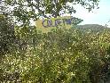 Col de Portes - FR-34-0380b