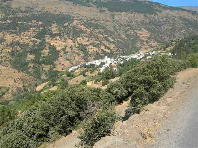 Agrandir l'image Capileira