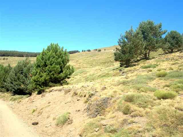 Agrandir l'image Chemin de Capileira au Mulhacen