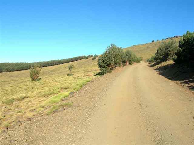 Agrandir l'image Piste du Mulhacen au-dessus de Capileira