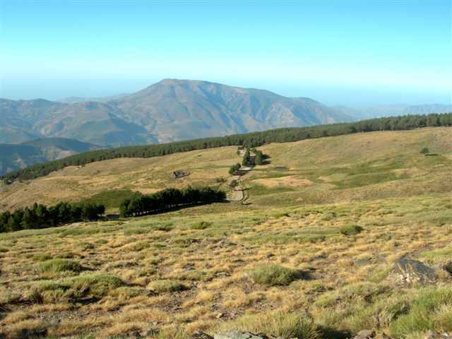 Agrandir l'image Piste du Mulhacen au-dessus de Capileira