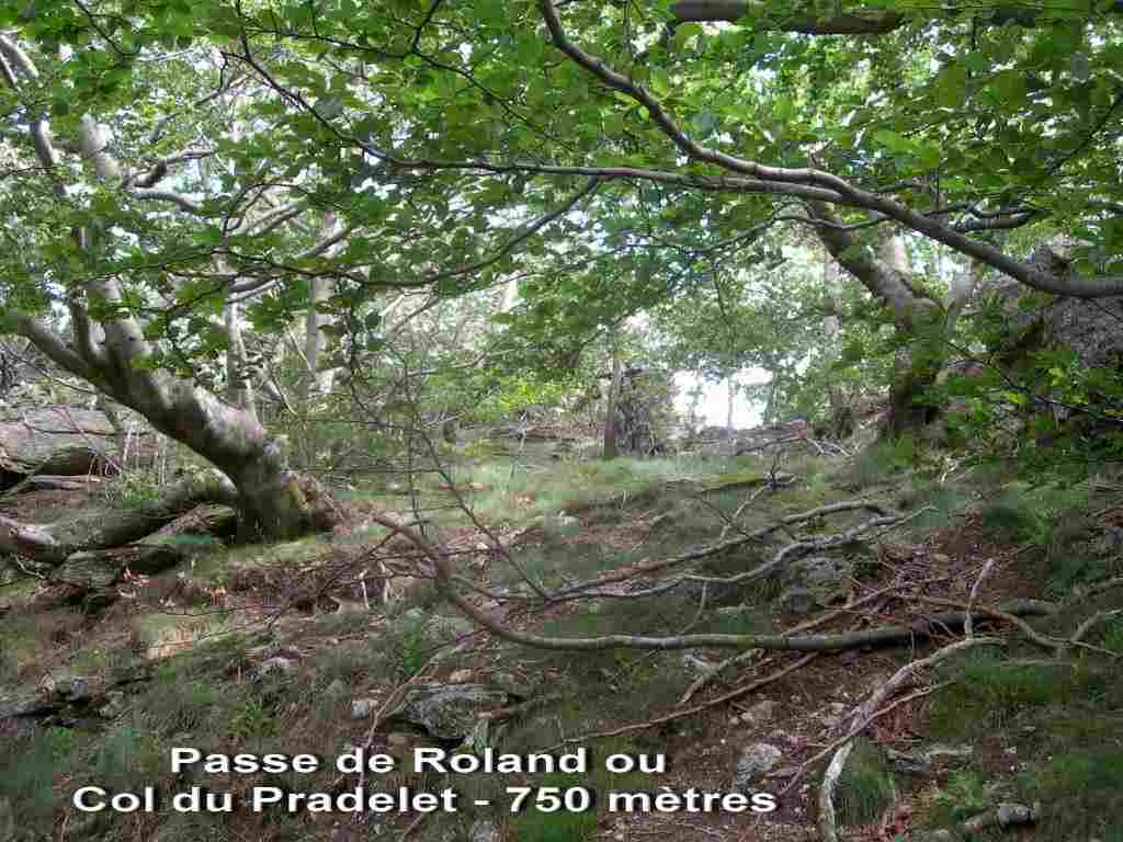 Agrandir l'image Passe de Roland ou Col du Pradelet - FR-34-0750