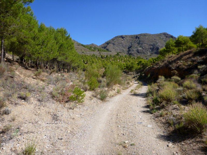 Agrandir l'image En direction du Collado de la Umbría Espesa