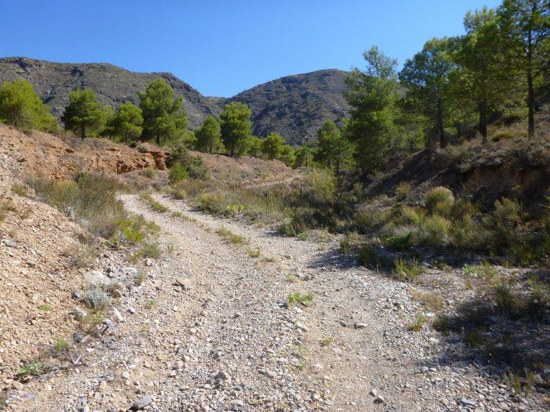 Agrandir l'image En direction du Collado de la Umbría Espesa