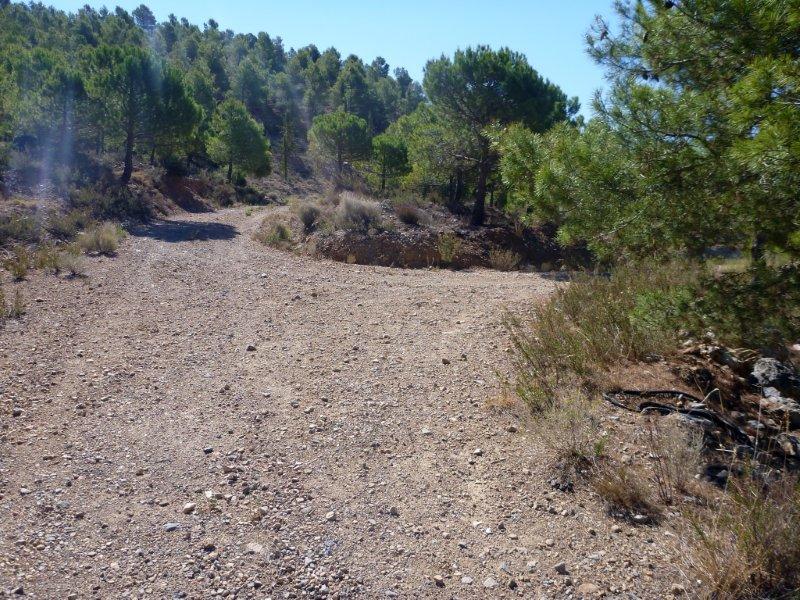 Agrandir l'image En direction du Collado de la Umbría Espesa