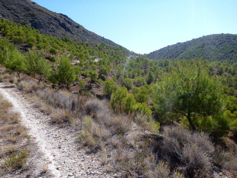 Agrandir l'image En direction du Collado de la Umbría Espesa