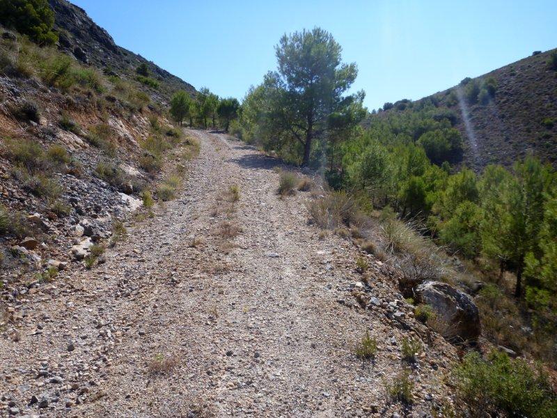 Agrandir l'image En direction du Collado de la Umbría Espesa