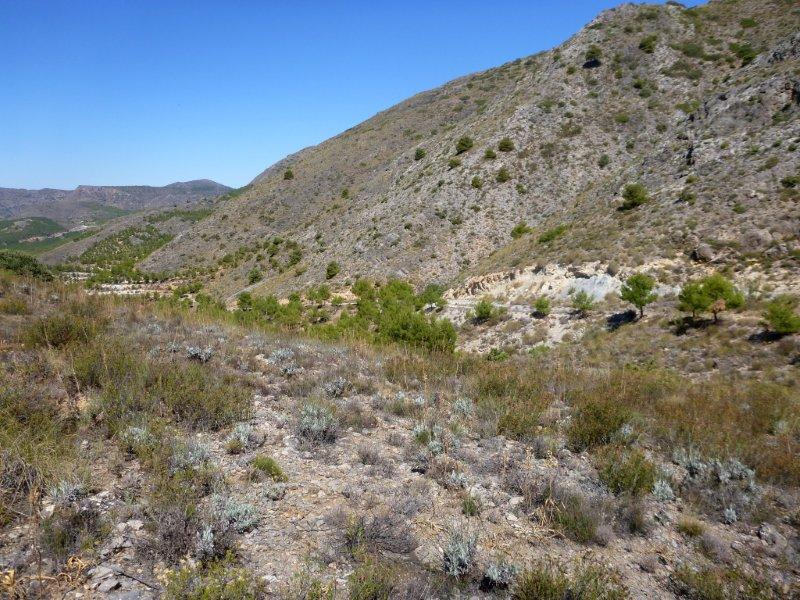 Agrandir l'image Collado de la Umbría Espesa - ES-AL-1212 mètres