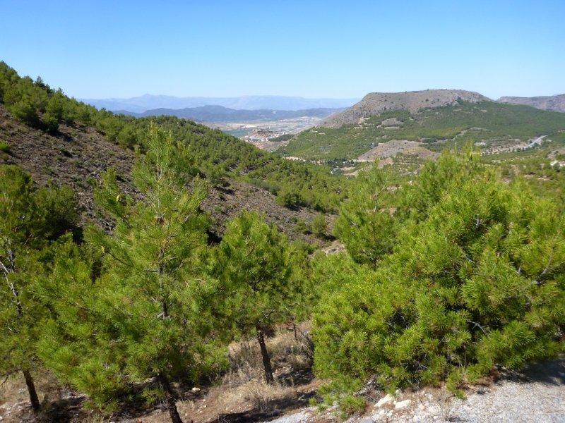 Agrandir l'image Vu de : Collado de la Umbría Espesa - ES-AL-1212 mètres