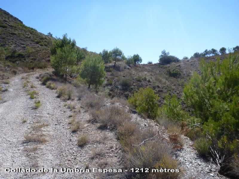 Agrandir l'image En direction du Collado de la Umbría Espesa