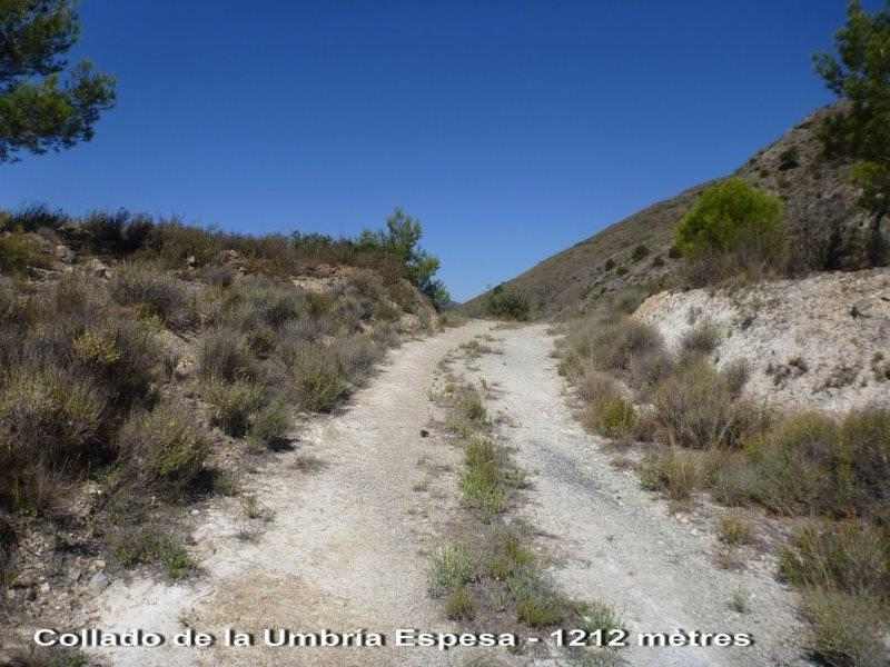 Agrandir l'image Collado de la Umbría Espesa - ES-AL-1212 mètres