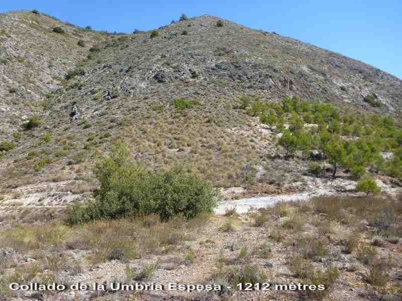 Agrandir l'image Collado de la Umbría Espesa - ES-AL-1212 mètres