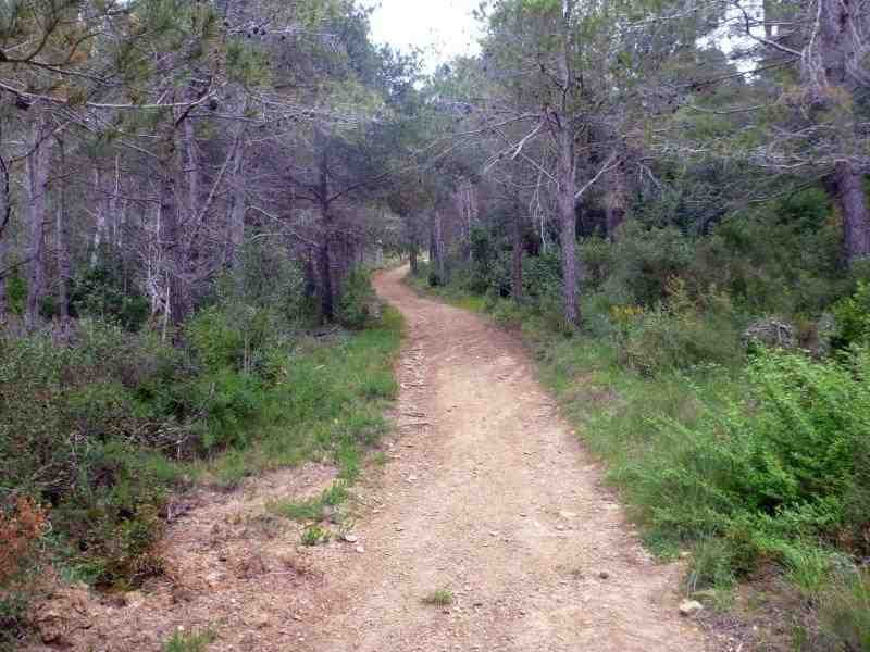Agrandir l'image En direction du Pas de Massac