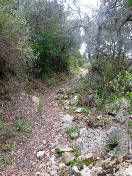 Agrandir l'image En direction du Pas de Massac