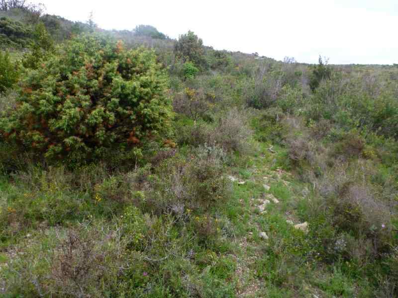 Agrandir l'image En direction du Pas d'en Sabatou