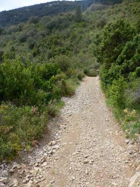 Agrandir l'image En direction du Col de la Garrigue